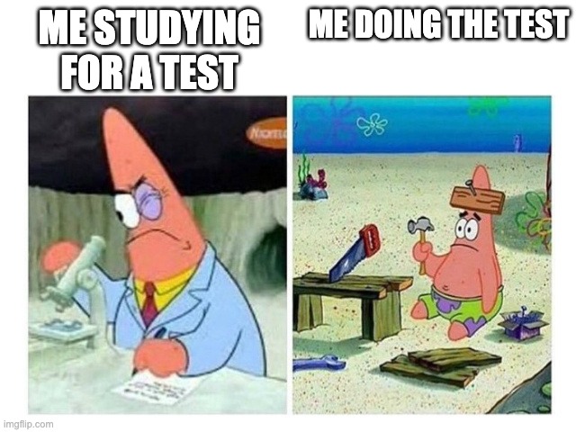 Patrick Scientist vs. Nail | ME DOING THE TEST; ME STUDYING FOR A TEST | image tagged in patrick scientist vs nail | made w/ Imgflip meme maker