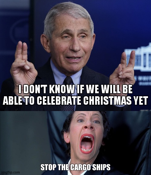  I DON'T KNOW IF WE WILL BE ABLE TO CELEBRATE CHRISTMAS YET | image tagged in anthony fauci | made w/ Imgflip meme maker