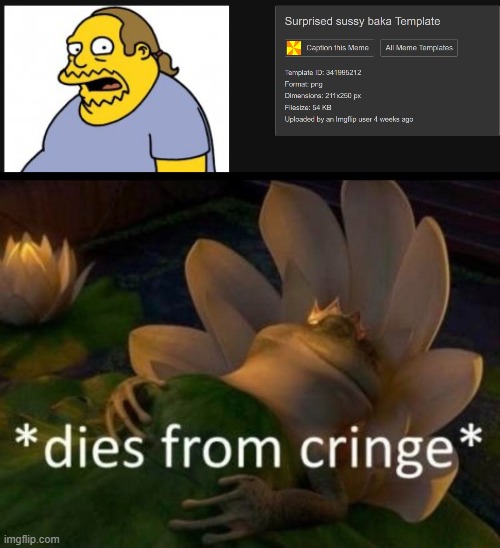 image tagged in dies of cringe | made w/ Imgflip meme maker
