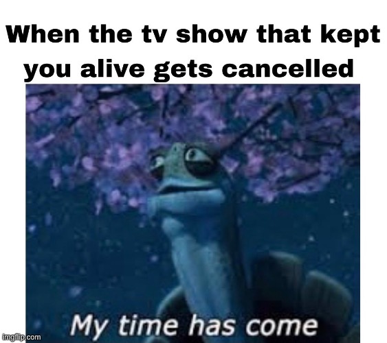 Wise Turtle | image tagged in depression,tv,memes,meme | made w/ Imgflip meme maker