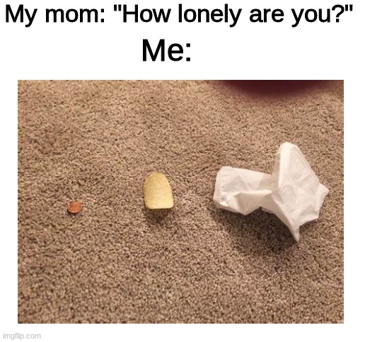 it's true :( | My mom: "How lonely are you?"; Me: | image tagged in blank white template,dank memes,spongebob | made w/ Imgflip meme maker
