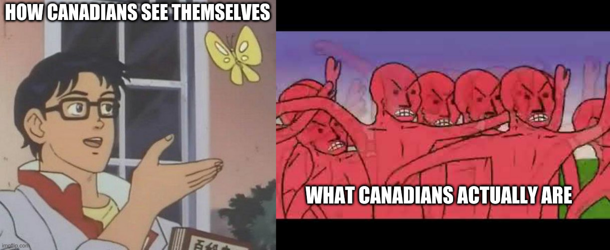 NPC | HOW CANADIANS SEE THEMSELVES; WHAT CANADIANS ACTUALLY ARE | image tagged in canada,npc meme | made w/ Imgflip meme maker