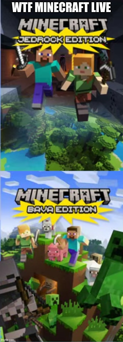 WTF MINECRAFT LIVE | image tagged in minecraft steve,minecraft | made w/ Imgflip meme maker