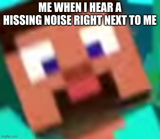 Suprised Steve | ME WHEN I HEAR A HISSING NOISE RIGHT NEXT TO ME | image tagged in suprised steve,minecraft steve,minecraft | made w/ Imgflip meme maker