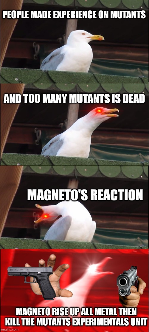 Inhaling Seagull | PEOPLE MADE EXPERIENCE ON MUTANTS; AND TOO MANY MUTANTS IS DEAD; MAGNETO'S REACTION; MAGNETO RISE UP ALL METAL THEN KILL THE MUTANTS EXPERIMENTALS UNIT | image tagged in memes,inhaling seagull | made w/ Imgflip meme maker