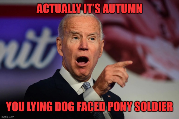 Angry Joe Biden Pointing | ACTUALLY IT’S AUTUMN YOU LYING DOG FACED PONY SOLDIER | image tagged in angry joe biden pointing | made w/ Imgflip meme maker