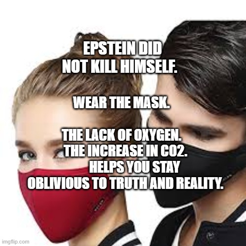 Mask Couple | EPSTEIN DID NOT KILL HIMSELF. WEAR THE MASK.                             THE LACK OF OXYGEN.      THE INCREASE IN CO2.         HELPS YOU STAY OBLIVIOUS TO TRUTH AND REALITY. | image tagged in mask couple | made w/ Imgflip meme maker