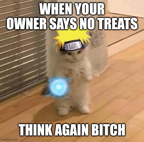 Naruto kitty powers | WHEN YOUR OWNER SAYS NO TREATS; THINK AGAIN BITCH | image tagged in naruto kitty powers | made w/ Imgflip meme maker