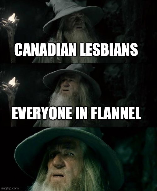 Confused Gandalf Meme | CANADIAN LESBIANS; EVERYONE IN FLANNEL | image tagged in memes,confused gandalf | made w/ Imgflip meme maker