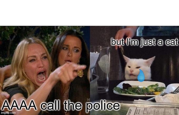 Woman Yelling At Cat | but I'm just a cat; AAAA call the police | image tagged in memes,woman yelling at cat | made w/ Imgflip meme maker