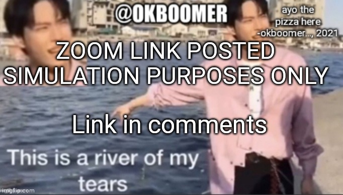 E | ZOOM LINK POSTED 
SIMULATION PURPOSES ONLY; Link in comments | image tagged in e | made w/ Imgflip meme maker