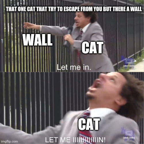True | THAT ONE CAT THAT TRY TO ESCAPE FROM YOU BUT THERE A WALL; WALL; CAT; CAT | image tagged in let me in,cats | made w/ Imgflip meme maker