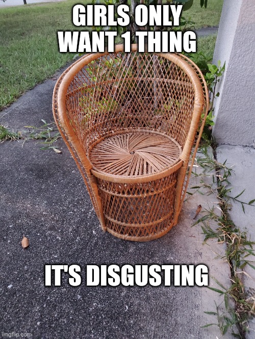 GIRLS ONLY WANT 1 THING; IT'S DISGUSTING | image tagged in memes,funny | made w/ Imgflip meme maker