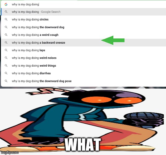 Confusion | WHAT | image tagged in what | made w/ Imgflip meme maker