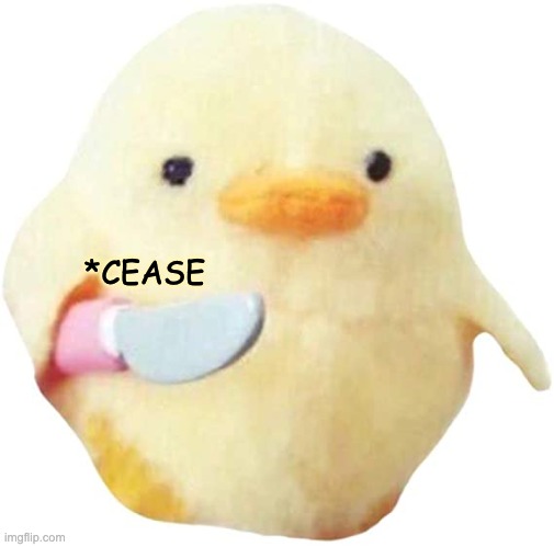 cease to birb | *CEASE | image tagged in cease to birb,lol,funny,meme | made w/ Imgflip meme maker