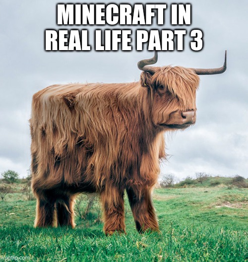 MINECRAFT IN REAL LIFE PART 3 | image tagged in minecraft | made w/ Imgflip meme maker