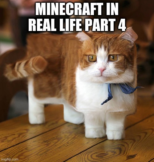 MINECRAFT IN REAL LIFE PART 4 | image tagged in minecraft | made w/ Imgflip meme maker