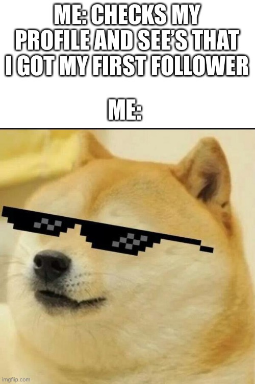Thanks for my first follower! | ME: CHECKS MY PROFILE AND SEE’S THAT I GOT MY FIRST FOLLOWER; ME: | image tagged in sunglass doge,followers | made w/ Imgflip meme maker