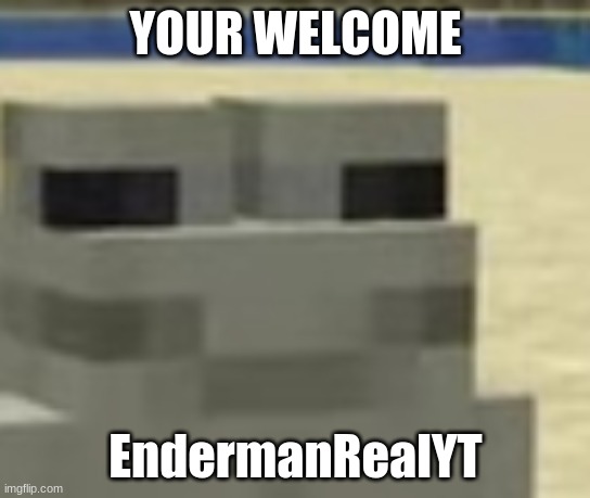 yw | YOUR WELCOME; EndermanRealYT | image tagged in chill frog,minecraft | made w/ Imgflip meme maker