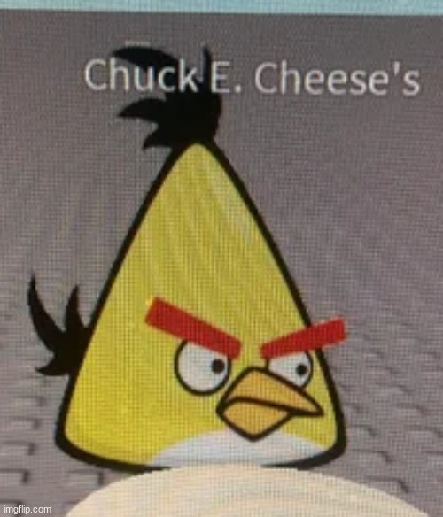 wtf? | made w/ Imgflip meme maker