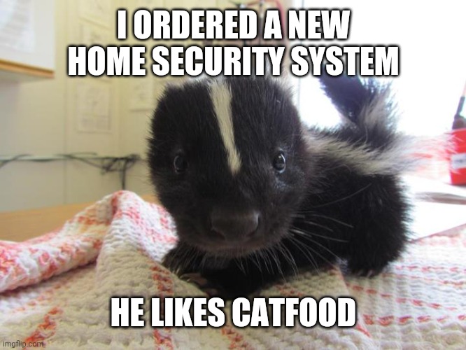 Baby skunk | I ORDERED A NEW HOME SECURITY SYSTEM; HE LIKES CATFOOD | image tagged in baby skunk | made w/ Imgflip meme maker