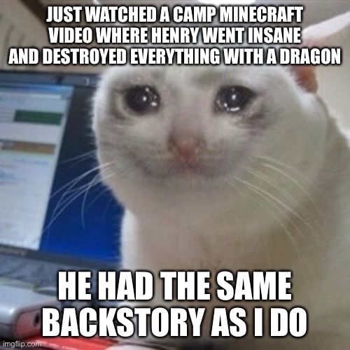 (In the series) | JUST WATCHED A CAMP MINECRAFT VIDEO WHERE HENRY WENT INSANE AND DESTROYED EVERYTHING WITH A DRAGON; HE HAD THE SAME BACKSTORY AS I DO | image tagged in crying cat | made w/ Imgflip meme maker