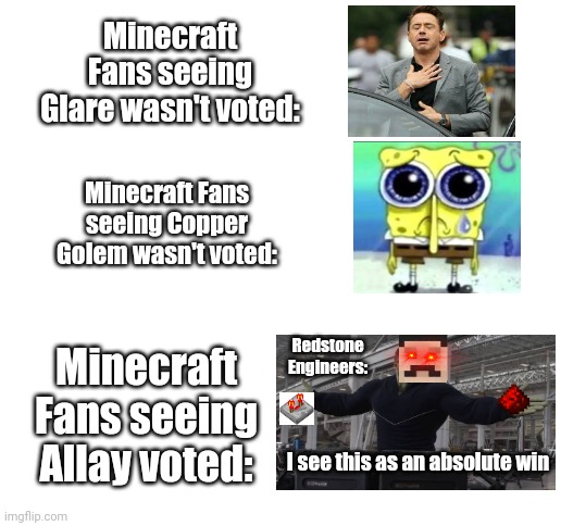 So Allay won the Minecraft Mob Vote | Minecraft Fans seeing Glare wasn't voted:; Minecraft Fans seeing Copper Golem wasn't voted:; Redstone Engineers:; Minecraft Fans seeing Allay voted:; I see this as an absolute win | image tagged in blank white template,memes,funny,minecraft,minecraft memes | made w/ Imgflip meme maker