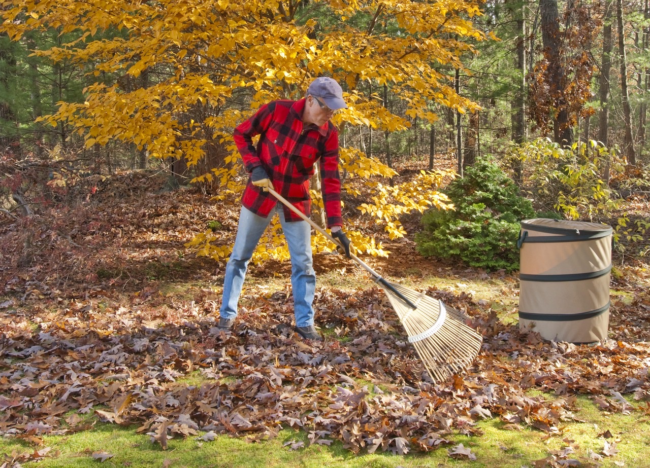 Just Keep Raking Blank Meme Template