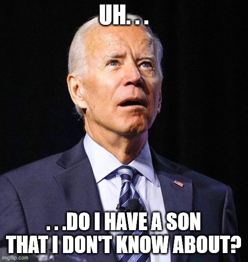 Joe Biden | UH. . . . . .DO I HAVE A SON THAT I DON'T KNOW ABOUT? | image tagged in joe biden | made w/ Imgflip meme maker