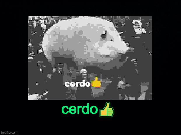 cerdo👍 | made w/ Imgflip meme maker