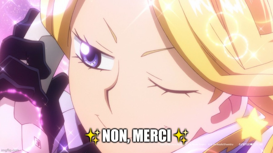 Aoyama secretary | ✨NON, MERCI✨ | image tagged in aoyama secretary | made w/ Imgflip meme maker