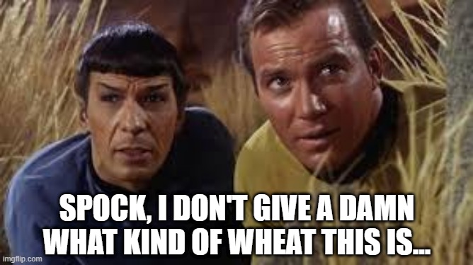 QuadraWhatever |  SPOCK, I DON'T GIVE A DAMN WHAT KIND OF WHEAT THIS IS... | image tagged in spock,kirk | made w/ Imgflip meme maker