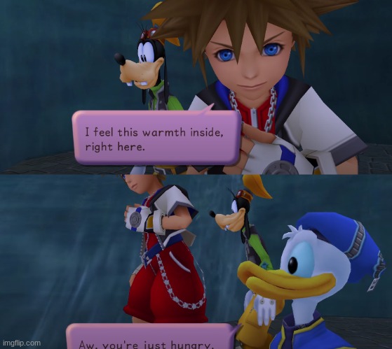 I just saw this and I just noticed this funny thing they put in | image tagged in kingdom hearts | made w/ Imgflip meme maker