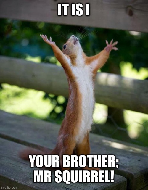 Happy Squirrel | IT IS I YOUR BROTHER; MR SQUIRREL! | image tagged in happy squirrel | made w/ Imgflip meme maker