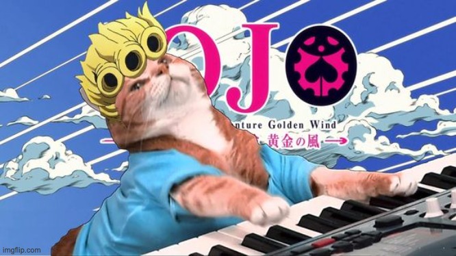 cat giorno | image tagged in jjba,cat meme,lol | made w/ Imgflip meme maker