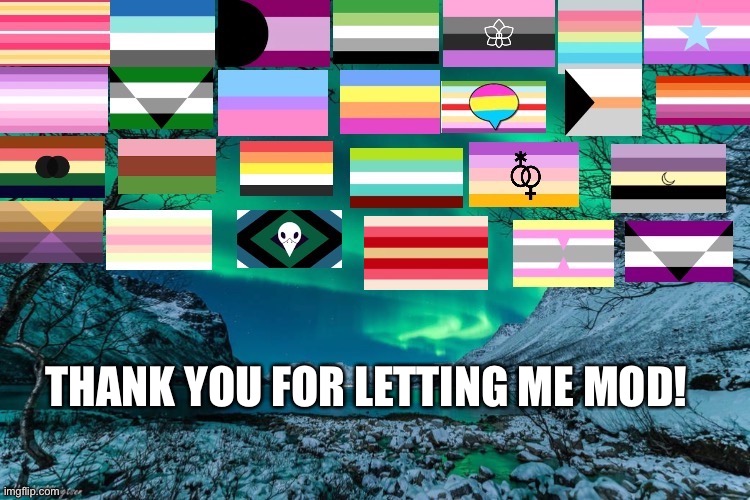 Northern Lights Announcement | THANK YOU FOR LETTING ME MOD! | image tagged in northern lights announcement | made w/ Imgflip meme maker