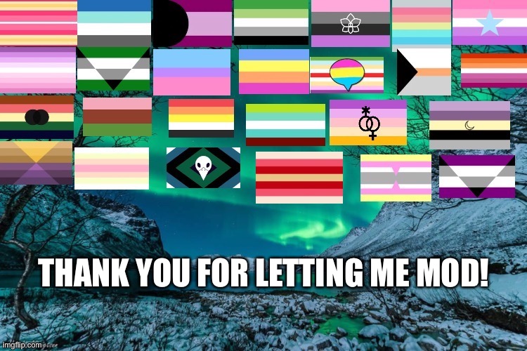 Northern Lights Announcement | THANK YOU FOR LETTING ME MOD! | image tagged in northern lights announcement | made w/ Imgflip meme maker