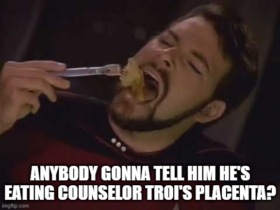 Delicacy | ANYBODY GONNA TELL HIM HE'S EATING COUNSELOR TROI'S PLACENTA? | image tagged in star trek,riker | made w/ Imgflip meme maker