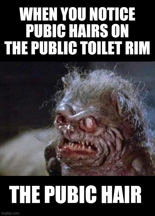 Pubic hair on the rim | WHEN YOU NOTICE PUBIC HAIRS ON THE PUBLIC TOILET RIM; THE PUBIC HAIR | image tagged in toilet humor,monster,grossed out,funny memes,hair,public restrooms | made w/ Imgflip meme maker