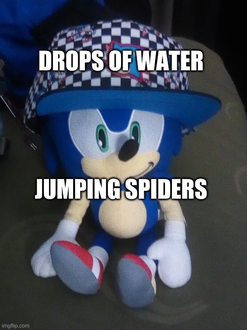 h e t | DROPS OF WATER; JUMPING SPIDERS | made w/ Imgflip meme maker