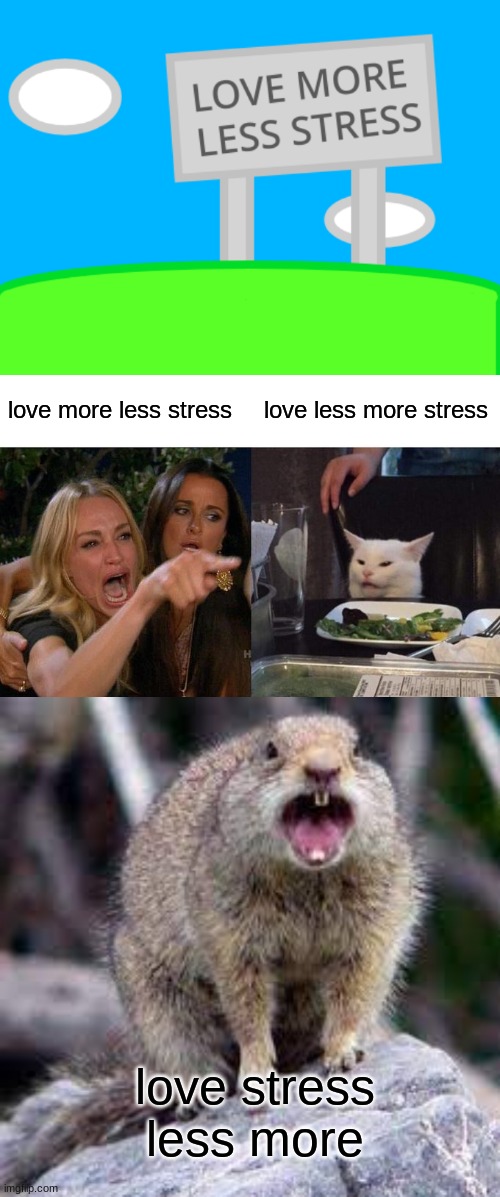 love more less stress; love less more stress; love stress less more | image tagged in memes,woman yelling at cat | made w/ Imgflip meme maker