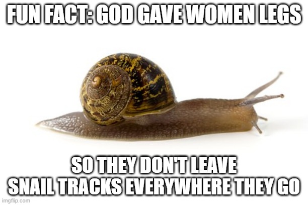 Smear | FUN FACT: GOD GAVE WOMEN LEGS; SO THEY DON'T LEAVE SNAIL TRACKS EVERYWHERE THEY GO | image tagged in slow snail | made w/ Imgflip meme maker