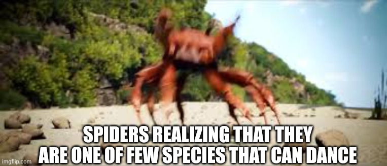 crab rave | SPIDERS REALIZING THAT THEY ARE ONE OF FEW SPECIES THAT CAN DANCE | image tagged in crab rave | made w/ Imgflip meme maker