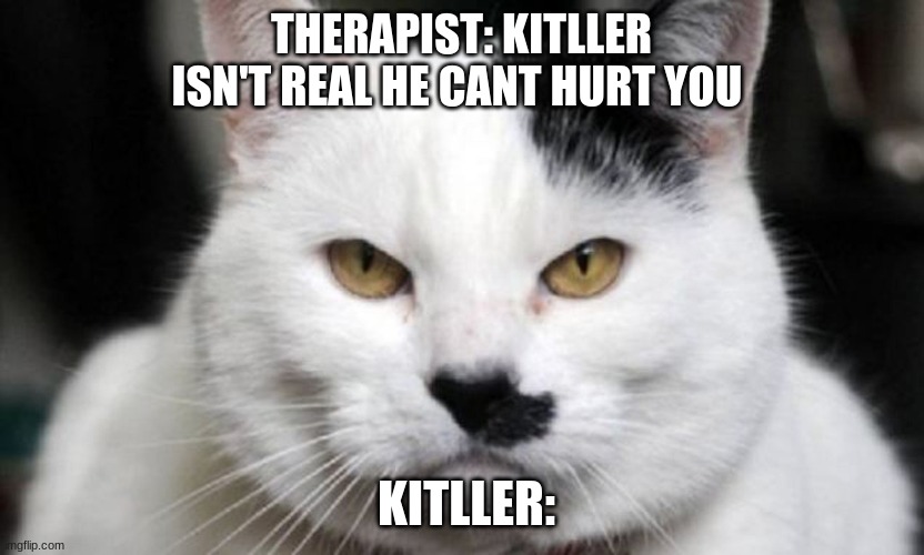 kitller | THERAPIST: KITLLER ISN'T REAL HE CANT HURT YOU; KITLLER: | image tagged in hitler | made w/ Imgflip meme maker