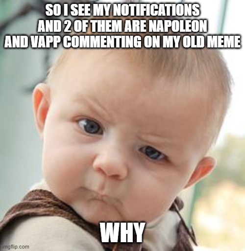 I'm very confused as to why | SO I SEE MY NOTIFICATIONS AND 2 OF THEM ARE NAPOLEON AND VAPP COMMENTING ON MY OLD MEME; WHY | image tagged in memes,skeptical baby,why | made w/ Imgflip meme maker