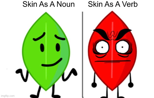 Skin as a noun | image tagged in bfdi | made w/ Imgflip meme maker