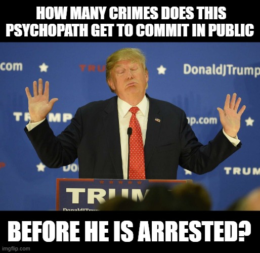 Put Your Hands Up Trump - You Are Under CITIZEN Arrest | HOW MANY CRIMES DOES THIS PSYCHOPATH GET TO COMMIT IN PUBLIC; BEFORE HE IS ARRESTED? | image tagged in criminal,liar,traitor,psychopath,indict and convict,fraudster | made w/ Imgflip meme maker