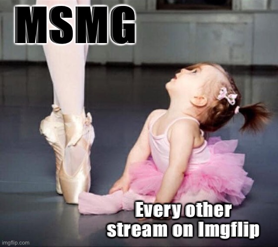 This stream is something else | MSMG; Every other stream on Imgflip | image tagged in dancer where it began,meanwhile on imgflip,imgflip,meme stream,msmg,streams | made w/ Imgflip meme maker