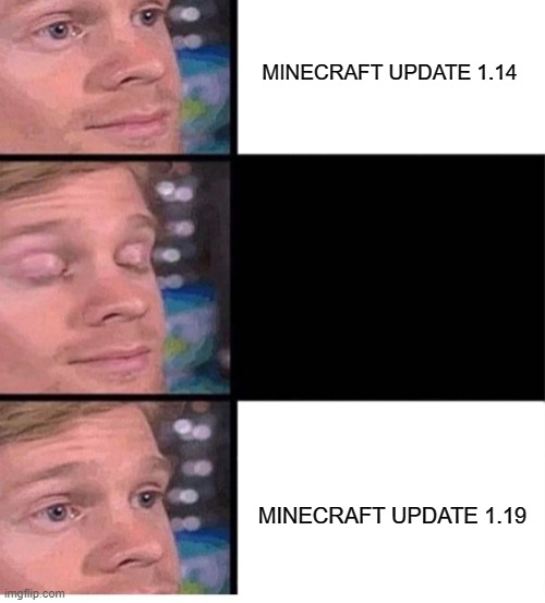 time flies, doesn't it | MINECRAFT UPDATE 1.14; MINECRAFT UPDATE 1.19 | image tagged in blinking guy vertical blank,minecraft | made w/ Imgflip meme maker