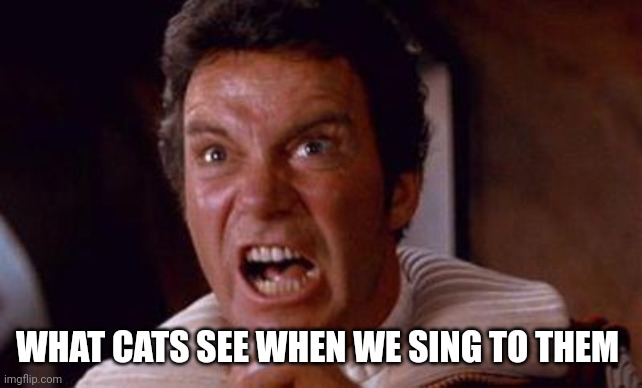 khan | WHAT CATS SEE WHEN WE SING TO THEM | image tagged in khan | made w/ Imgflip meme maker